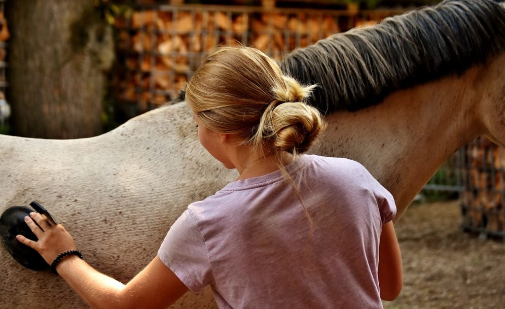 soigner un cheval