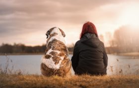 le chien et l'homme