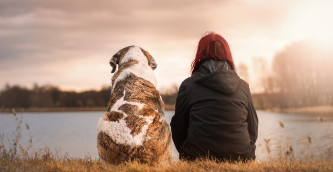 le chien et l'homme