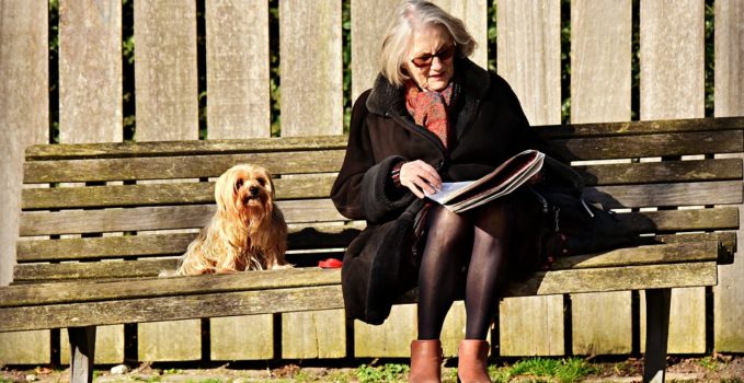 chien et personne âgée