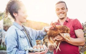 pourquoi faire le choix d'une poule