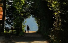 la promenade de votre chien