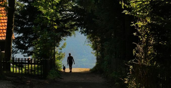 la promenade de votre chien