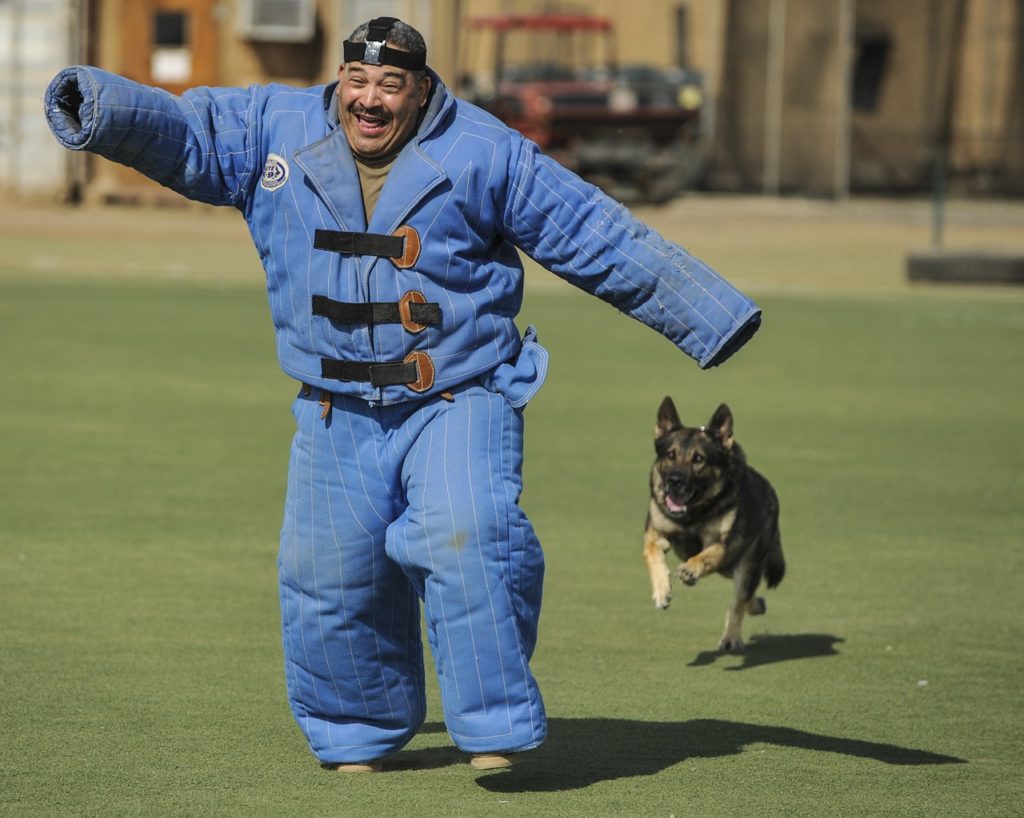chien de garde