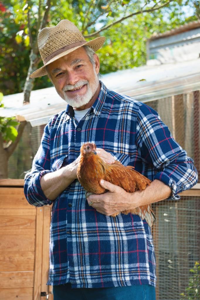 avoir une poule comme animal domestique