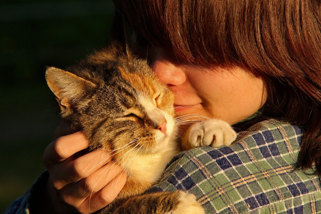 garder un chat à domicile