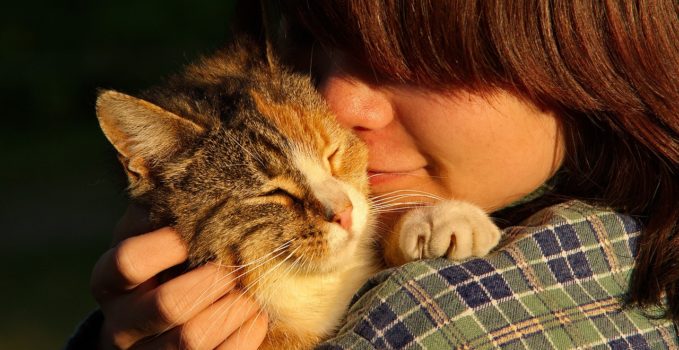 garder un chat à domicile