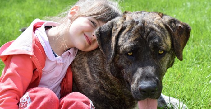 choisir un chien pour un enfant