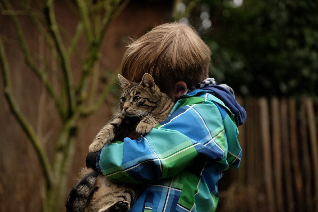 offrir un chat à son fils