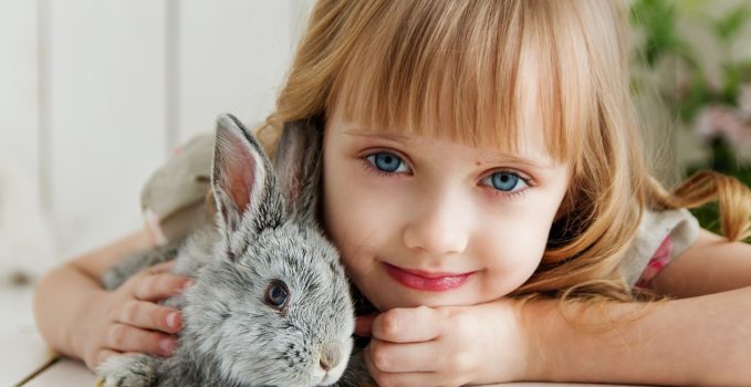 offrir un lapin à sa fille