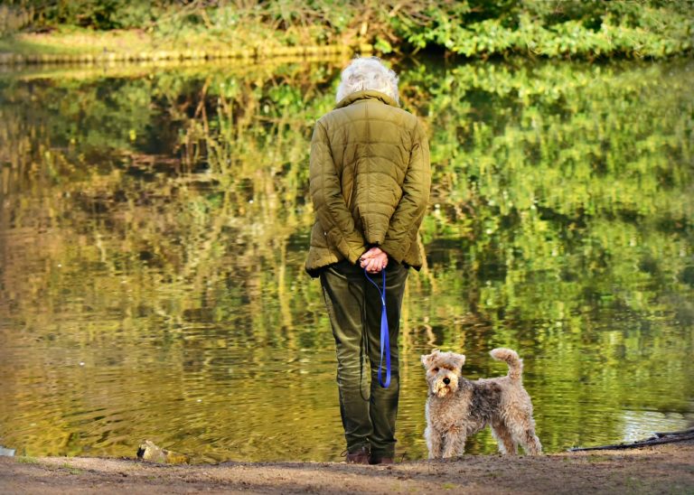 Comment choisir un chien pour une personne âgée
