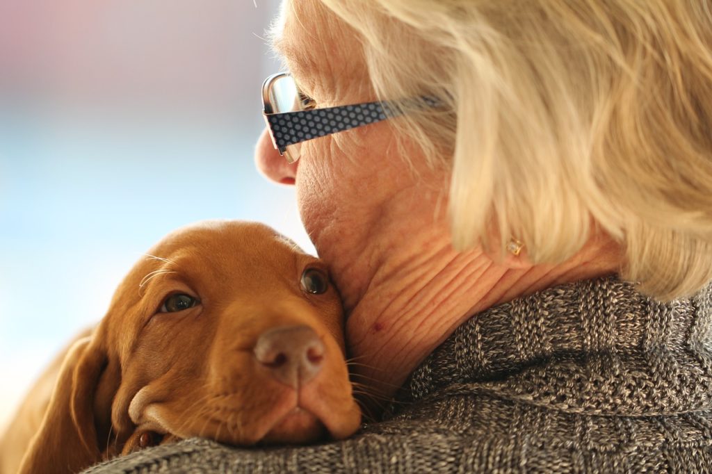 Choisir un chien pour une personne âgée
