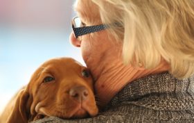 Choisir un chien pour une personne âgée