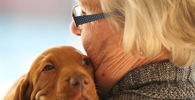 Choisir un chien pour une personne âgée