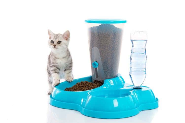 machine de distribution de croquettes pour chat