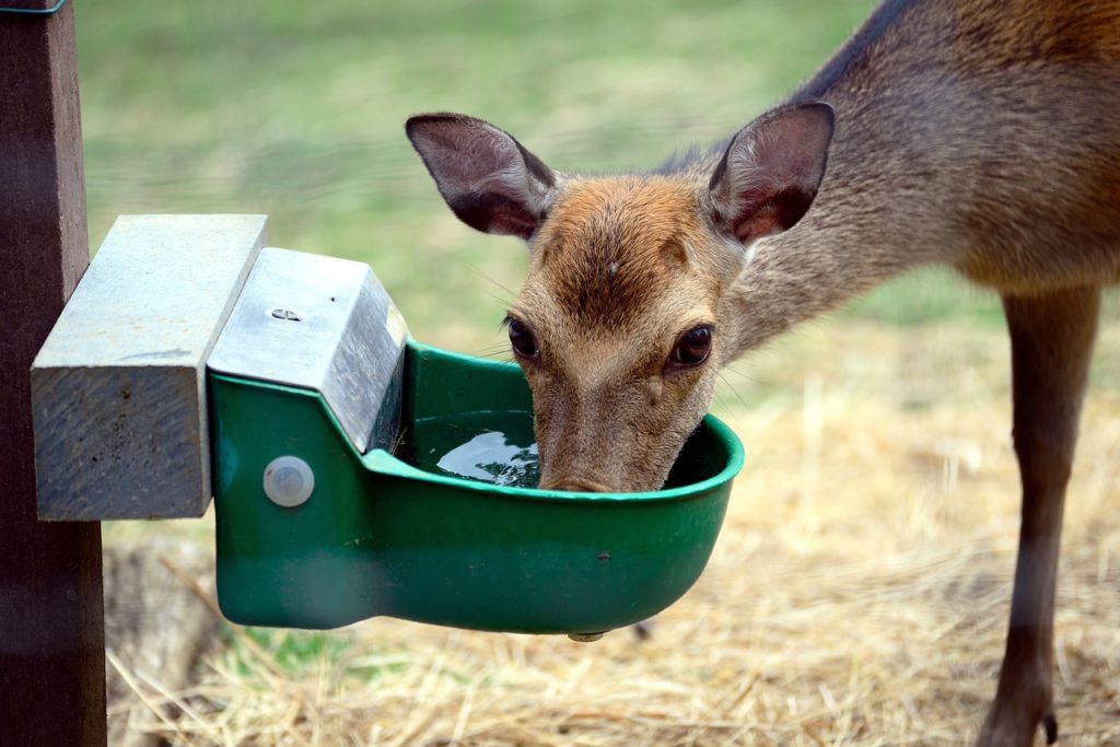 métier avec les animaux sauvages