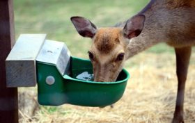 métier avec les animaux sauvages