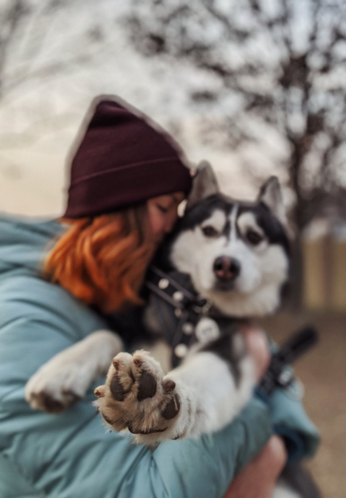 chien et solitude