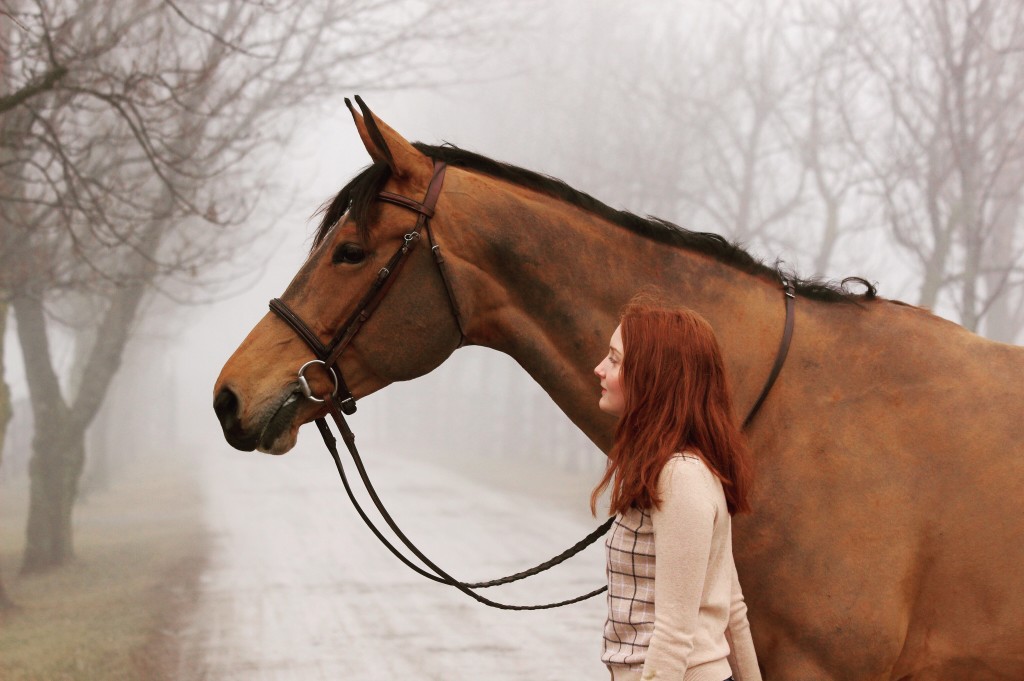 choisir un mors de cheval