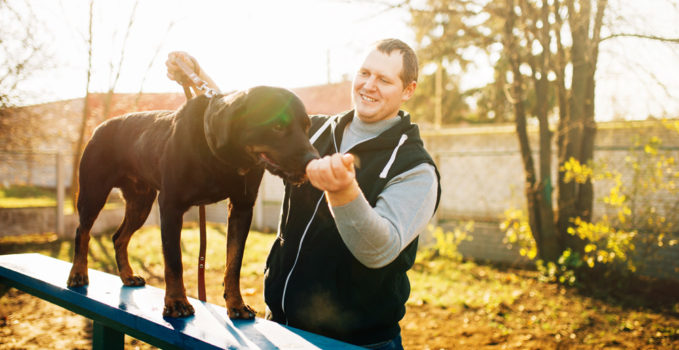 Comment Devenir Eleveur Canin