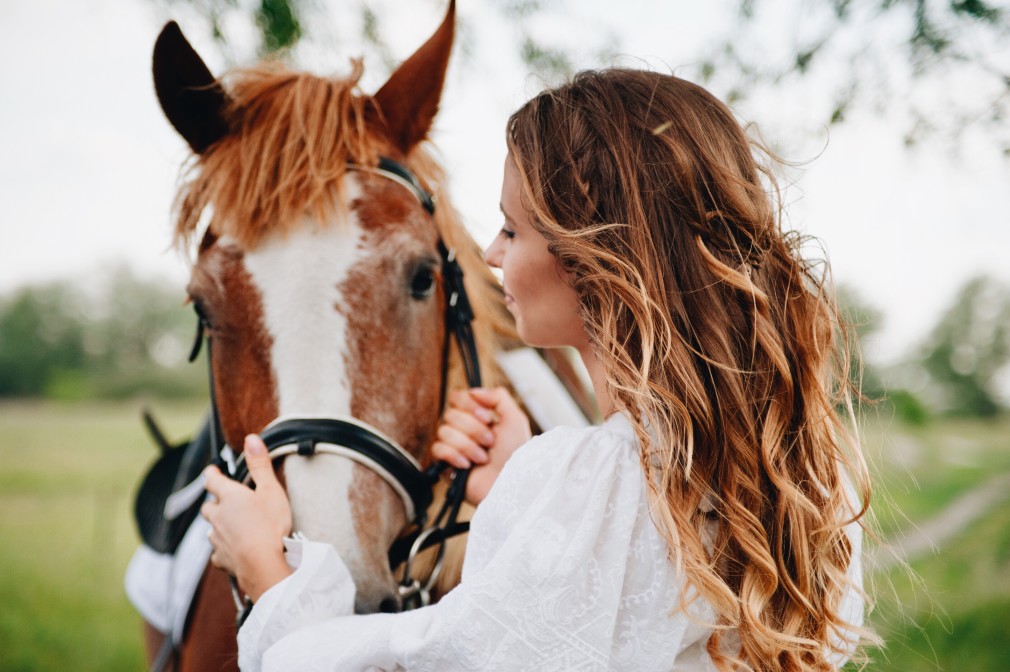 accessoire cheval