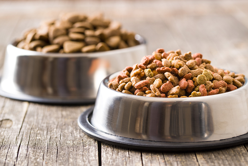 aliments pour chien