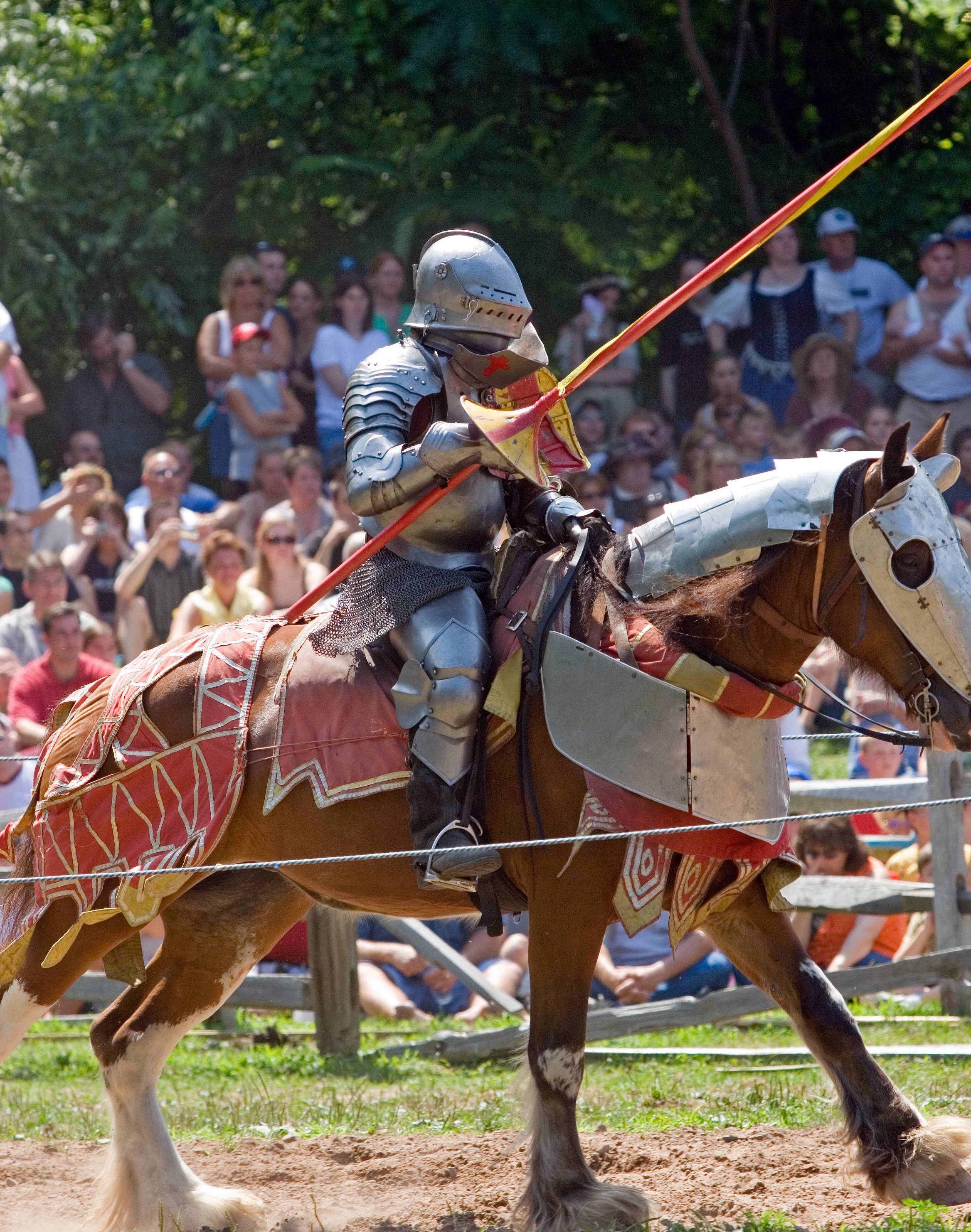 les chevaux, des animaux qui fascinent