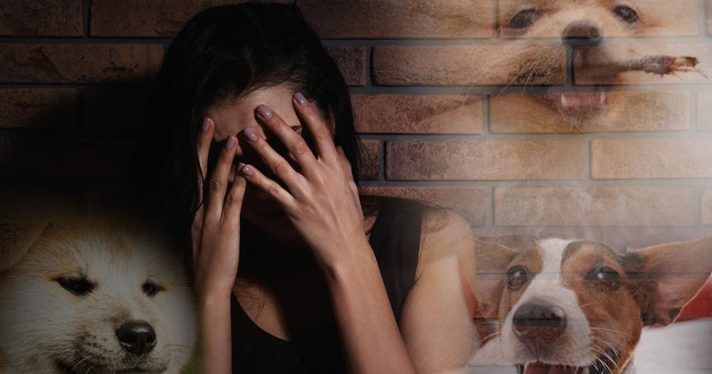 Peur des chiens vaincre la peur par l’hypno thérapie