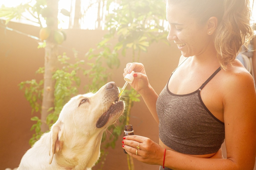 Peut-on donner du CBD à son chien ?