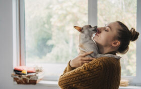 réduire le stress animaux