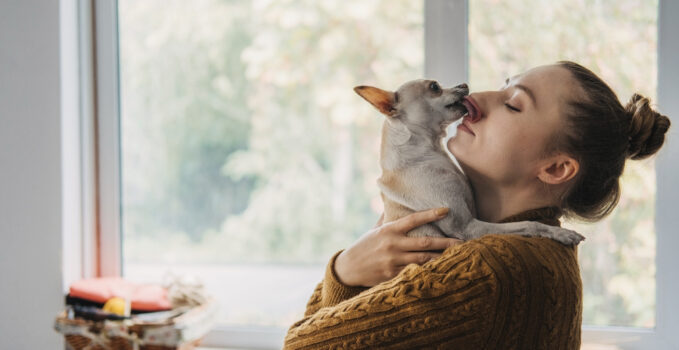 réduire le stress animaux