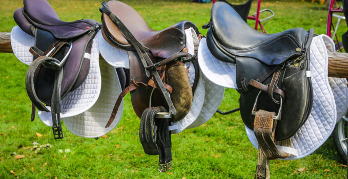 choisir sa selle pour chevaux