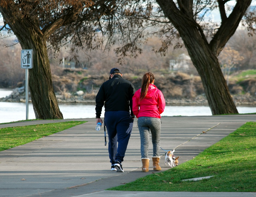 couple et animaux