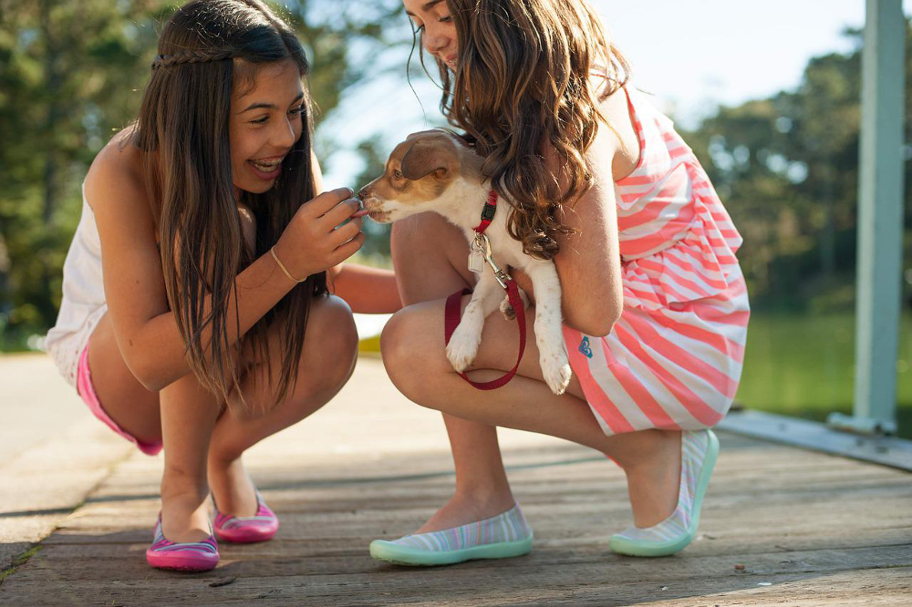 trouver un chiot à adopter