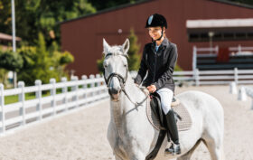 test génétiques cheval