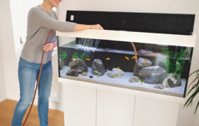 stockage aquarium