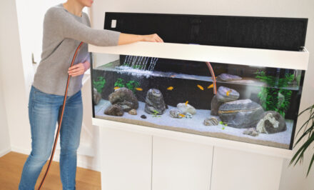 stockage aquarium