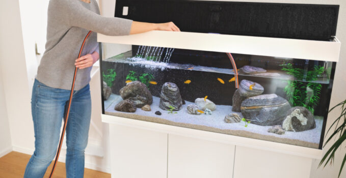 stockage aquarium