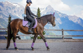 Ce qu’il faut savoir avant de faire de l’équitation