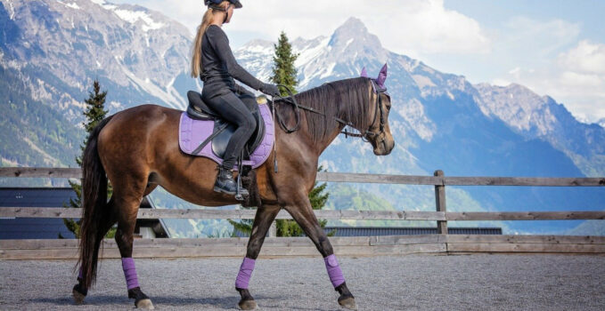 Ce qu’il faut savoir avant de faire de l’équitation