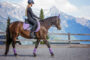 Ce qu’il faut savoir avant de faire de l’équitation