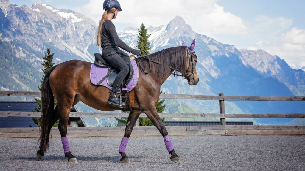 Comment bien s'équiper pour l'équitation lorsqu'on débute ?