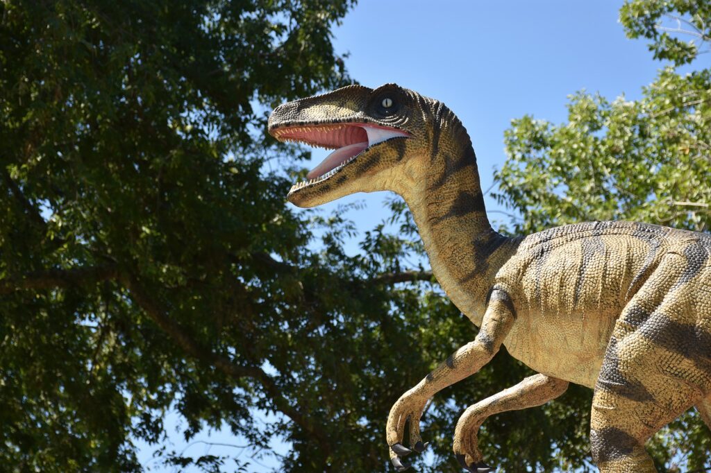 vélociraptor