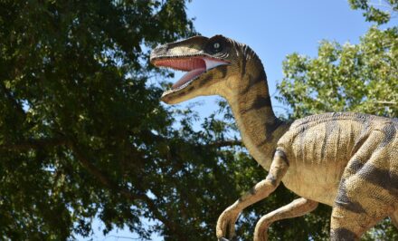 vélociraptor
