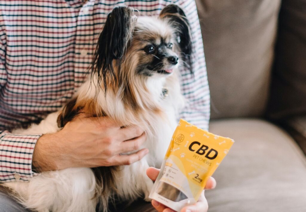 cbd chien