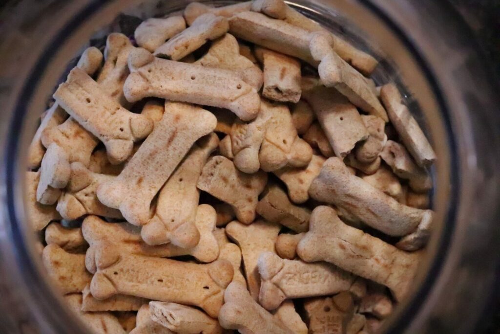 friandises pour chien