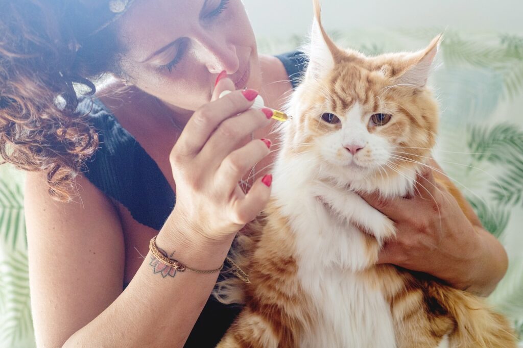 cbd animaux