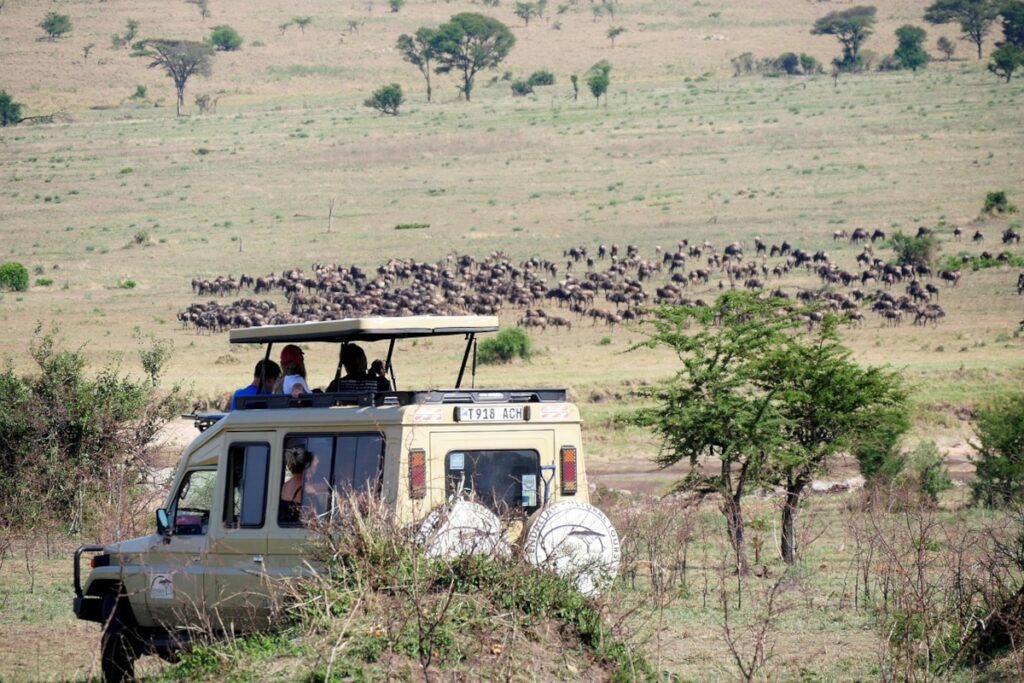 voyage tanzanie