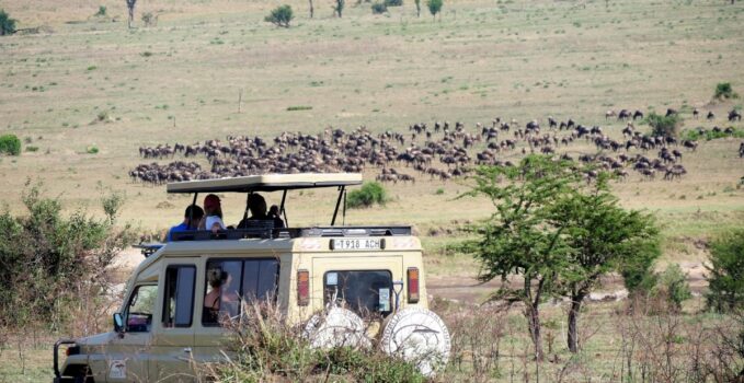 voyage tanzanie