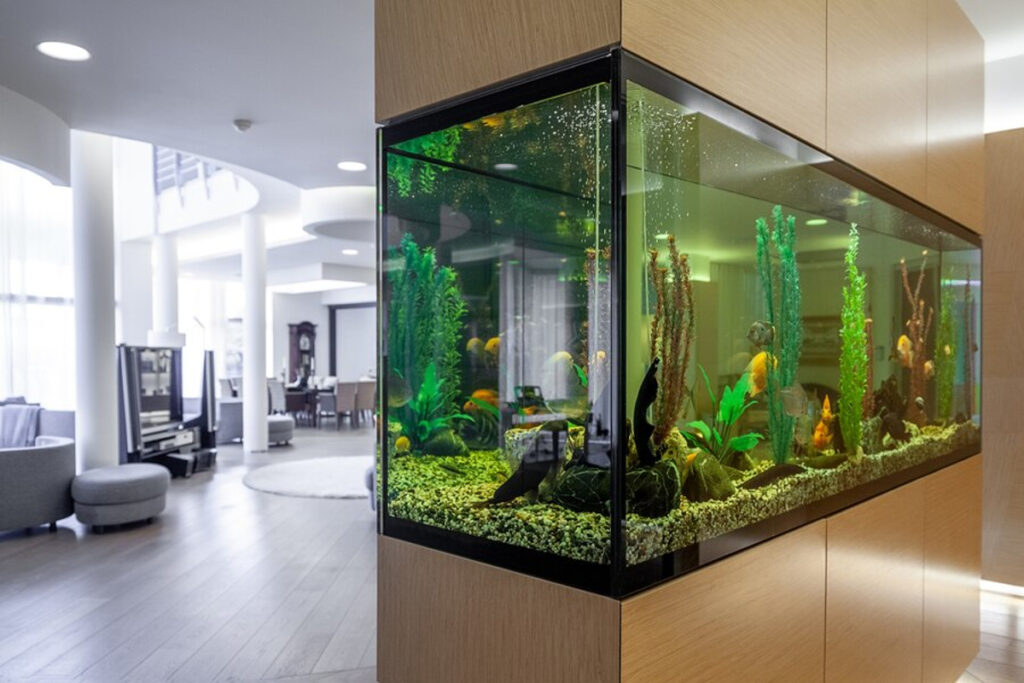 aquarium solide